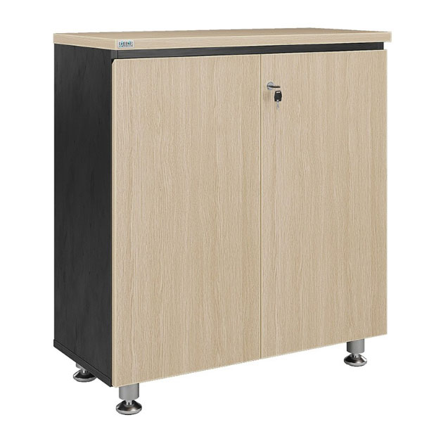 Tủ tài liệu thấp Leader LE880D