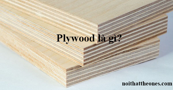 plywood là gì