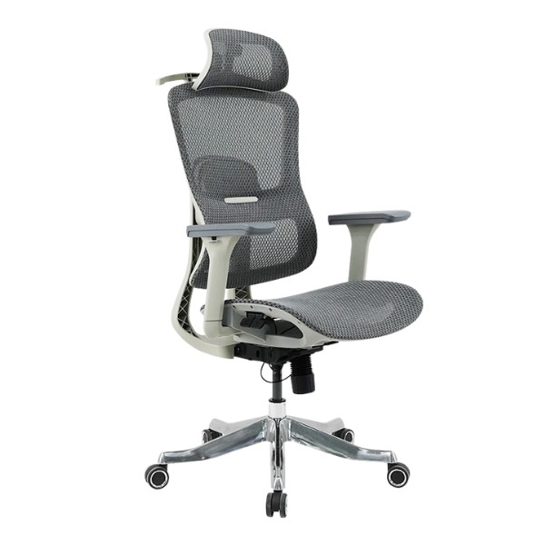 ghế công thái học GLE20