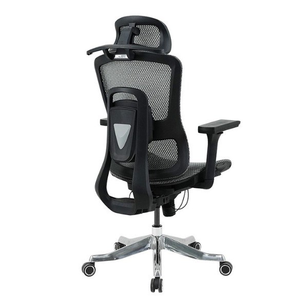 ghế công thái học GLE20