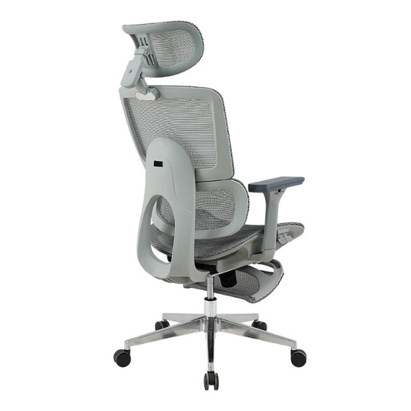 Ghế công thái học GL21