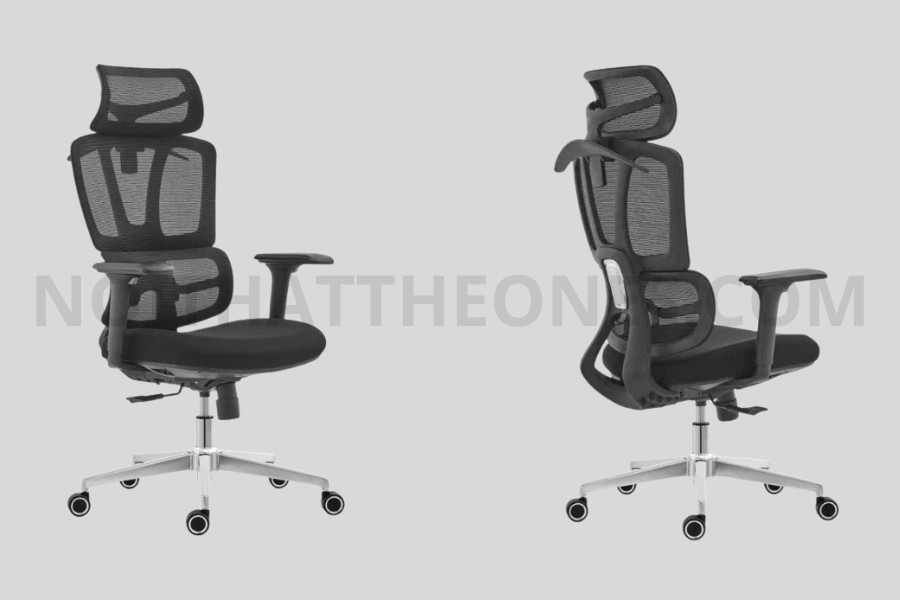 ghế công thái học A229